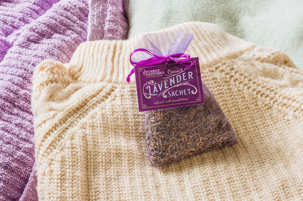 organza_purple_on_yellow_sweater_web.webp